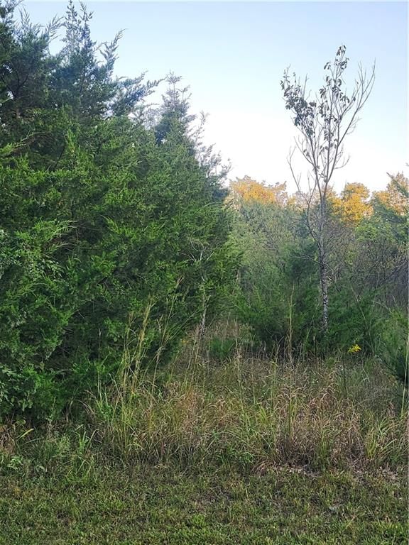 130 Boxelder Drive — photo 8