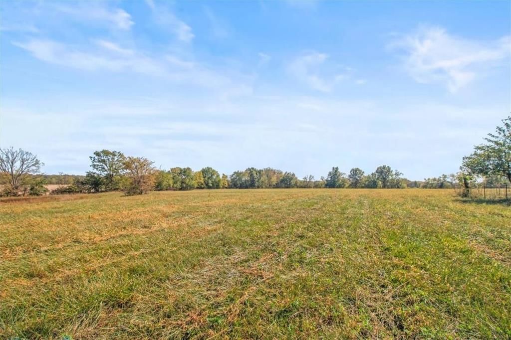4038 Owl Creek Road — photo 2
