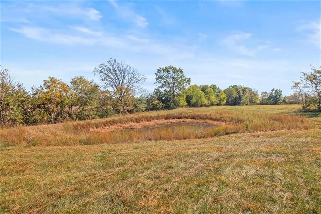 4038 Owl Creek Road — photo 3
