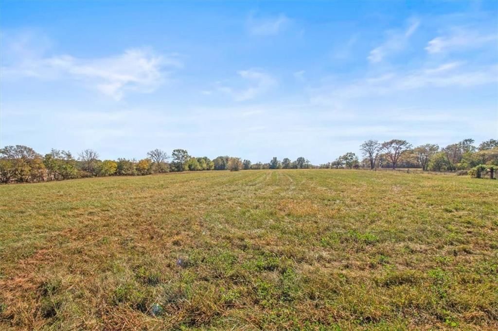 4038 Owl Creek Road — photo 10
