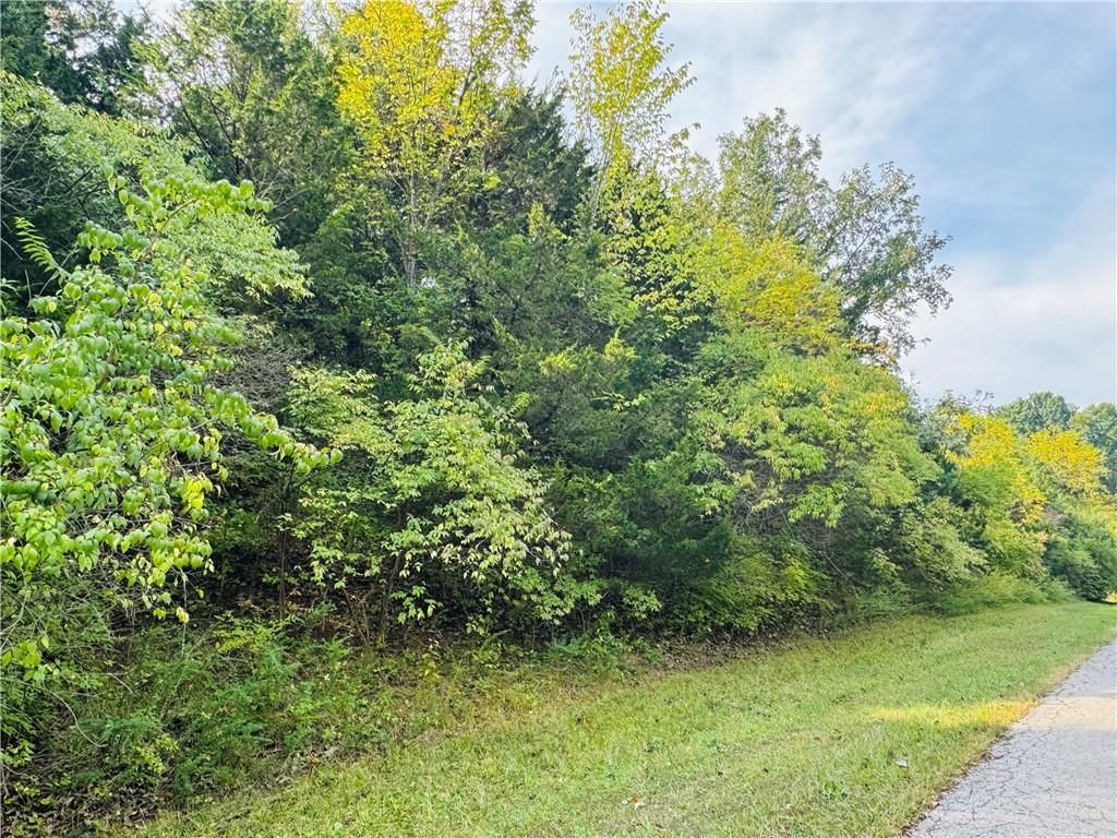000 Lot 1 Silver Lane — photo 1