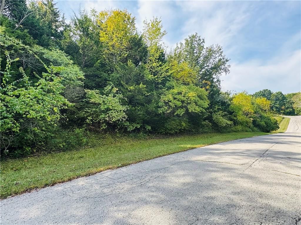 000 Lot 1 Silver Lane — photo 2