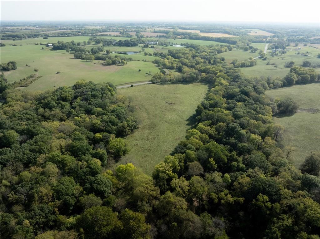 20 Acres Mt Olivet Road — photo 9