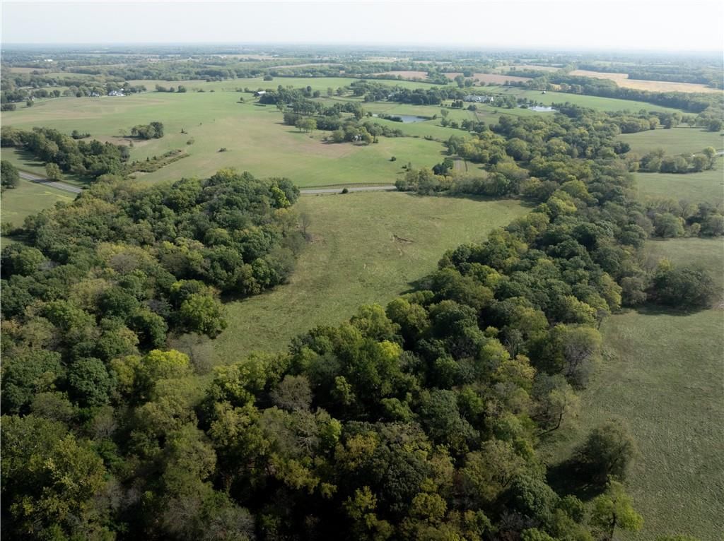 20 Acres Mt Olivet Road — photo 10