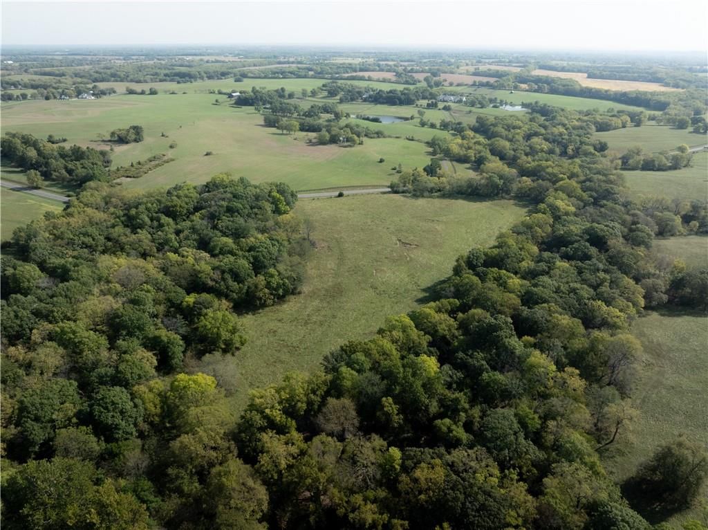 20 Acres Mt Olivet Road — photo 11