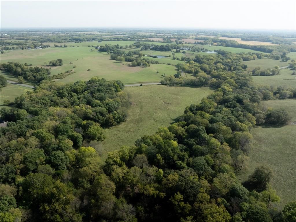 20 Acres Mt Olivet Road — photo 12