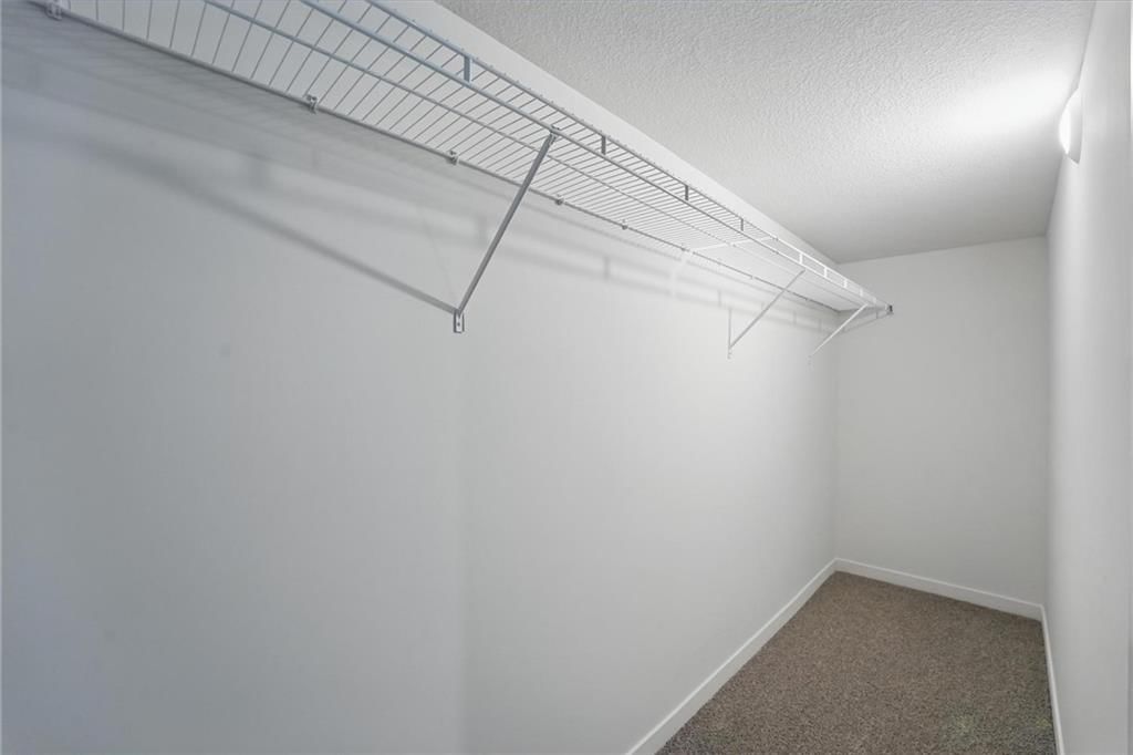2609 Mercer Lane — photo 34