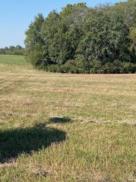 00000 Bauserman Road — photo 4