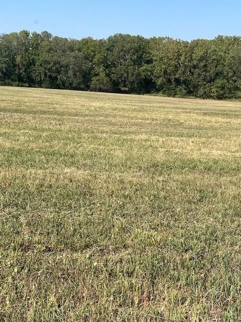 00000 Bauserman Road — photo 6