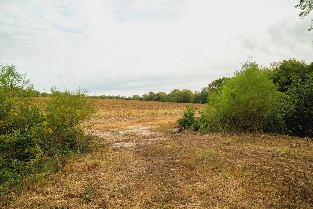 MO 58 Highway — photo 2