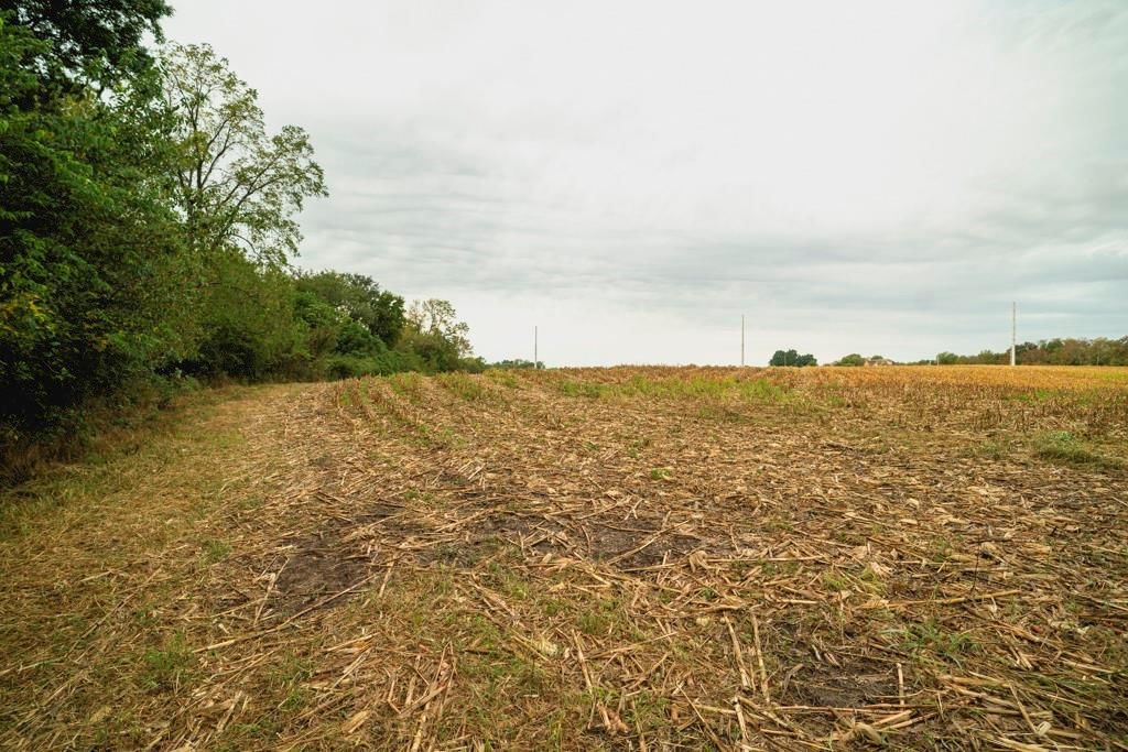MO 58 Highway — photo 4