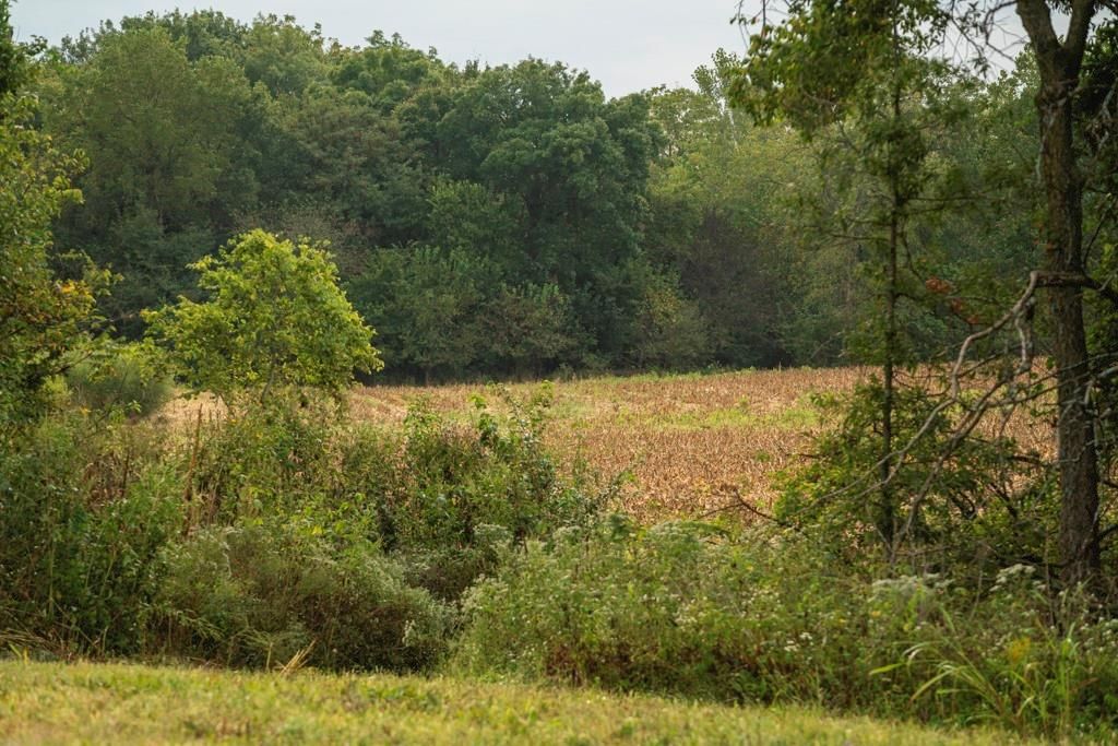 MO 58 Highway — photo 7