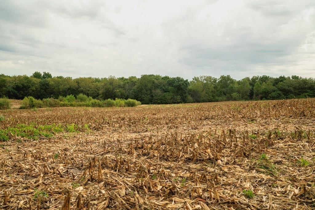 MO 58 Highway — photo 11