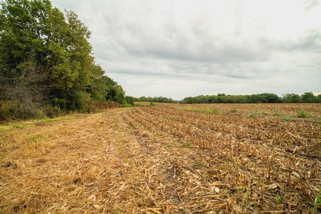 MO 58 Highway — photo 13