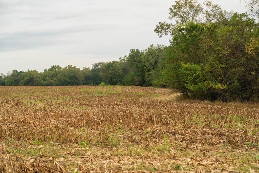 MO 58 Highway — photo 18