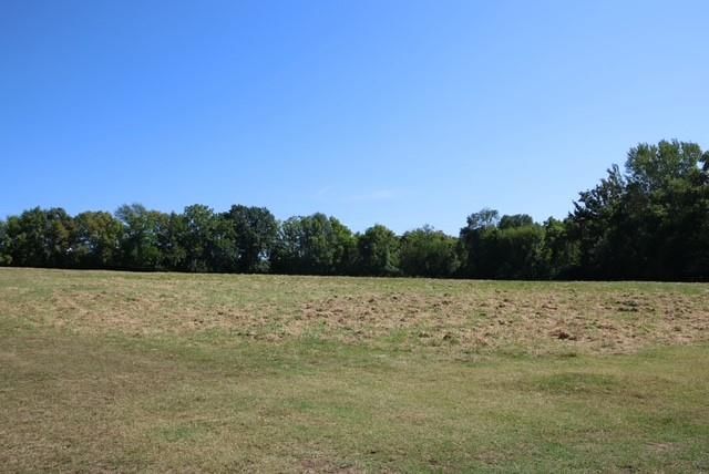 1815 & 1719 S Osage Street — photo 5