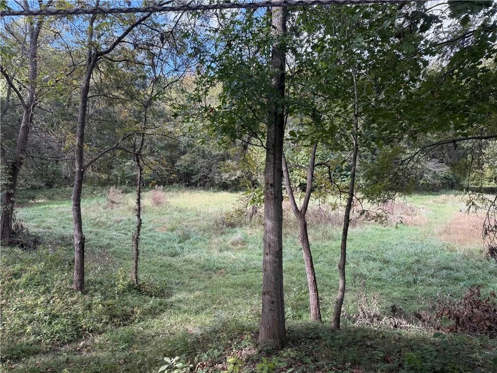 Photo 5 of 10 - 28114 S Bennett Road