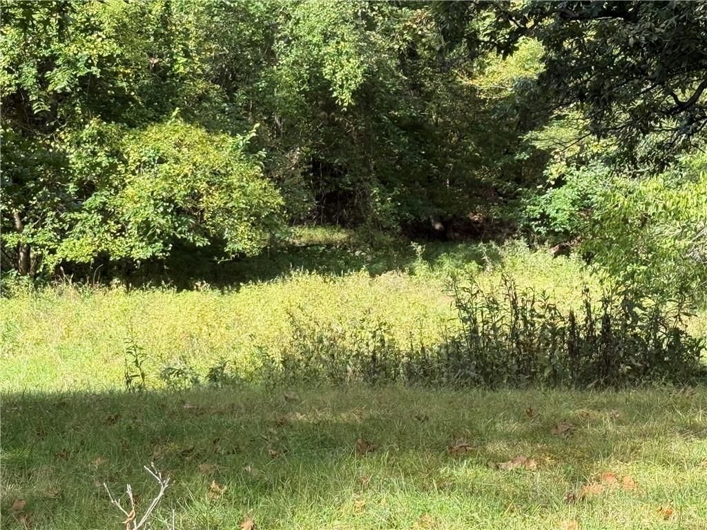 Photo 6 of 10 - 28114 S Bennett Road