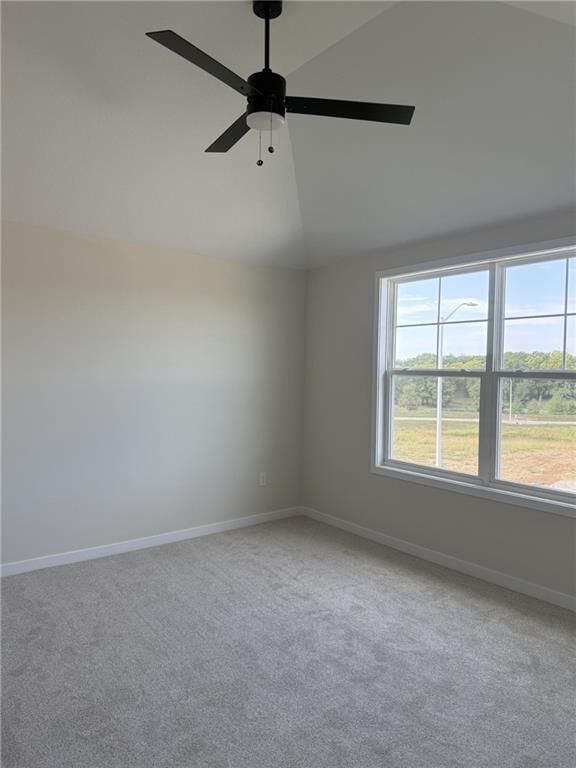 9007 N Poplar Avenue — photo 22