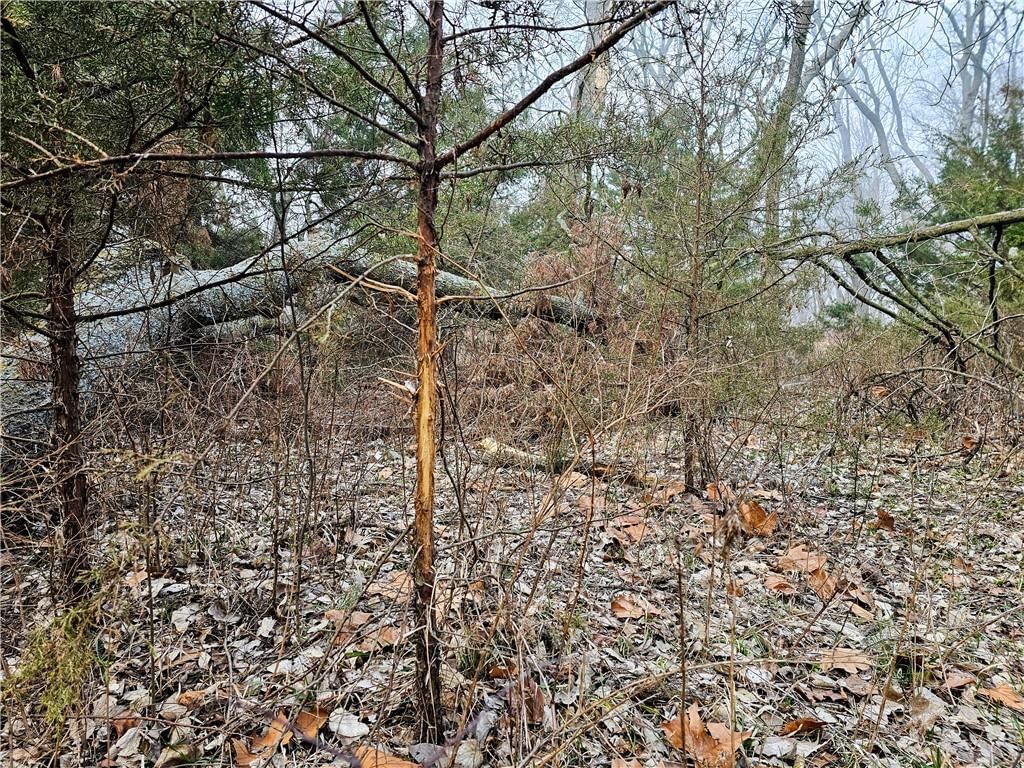 0000 GP Road — photo 15