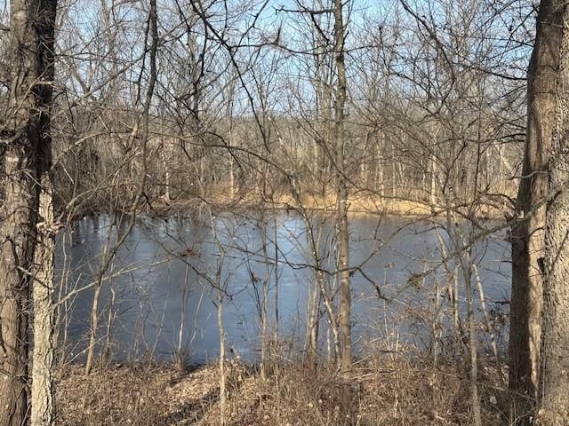 5600 E Poney Creek Road — photo 28