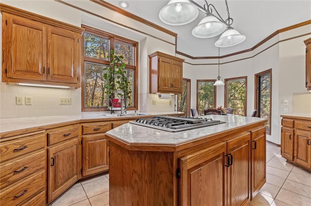 15617 Oakmont Drive — photo 11