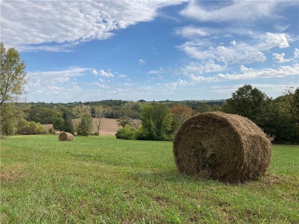 22413 State Hwy C Highway — photo 80