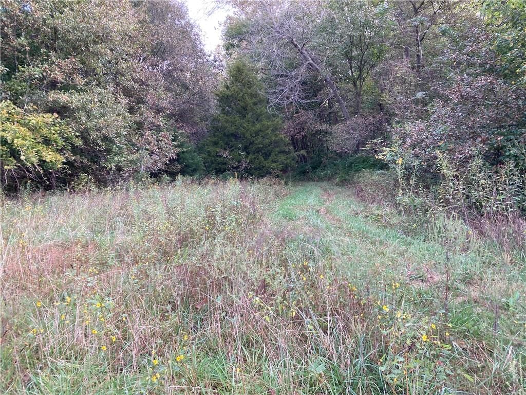 22413 State Hwy C Highway — photo 81