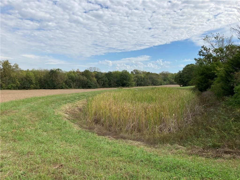 22413 State Hwy C Highway — photo 84