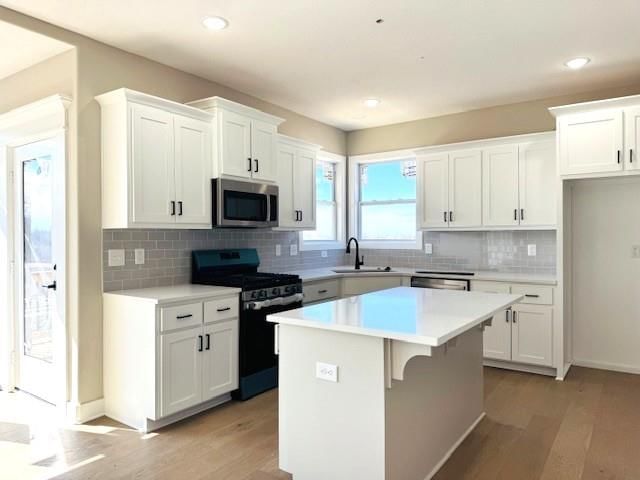 29509 W 196th Street — photo 19