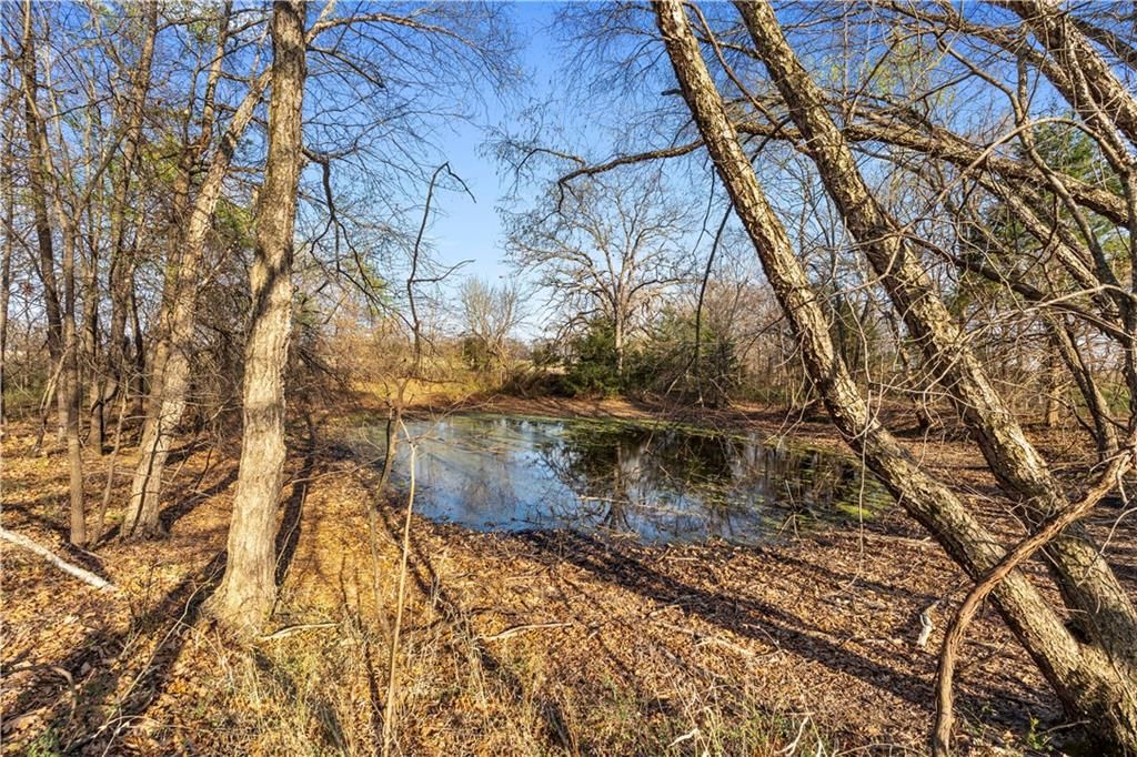 23529 E Overland Road — photo 67