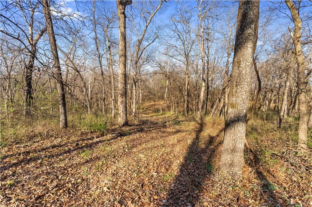 23529 E Overland Road — photo 70