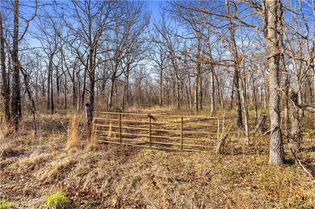 23529 E Overland Road — photo 76