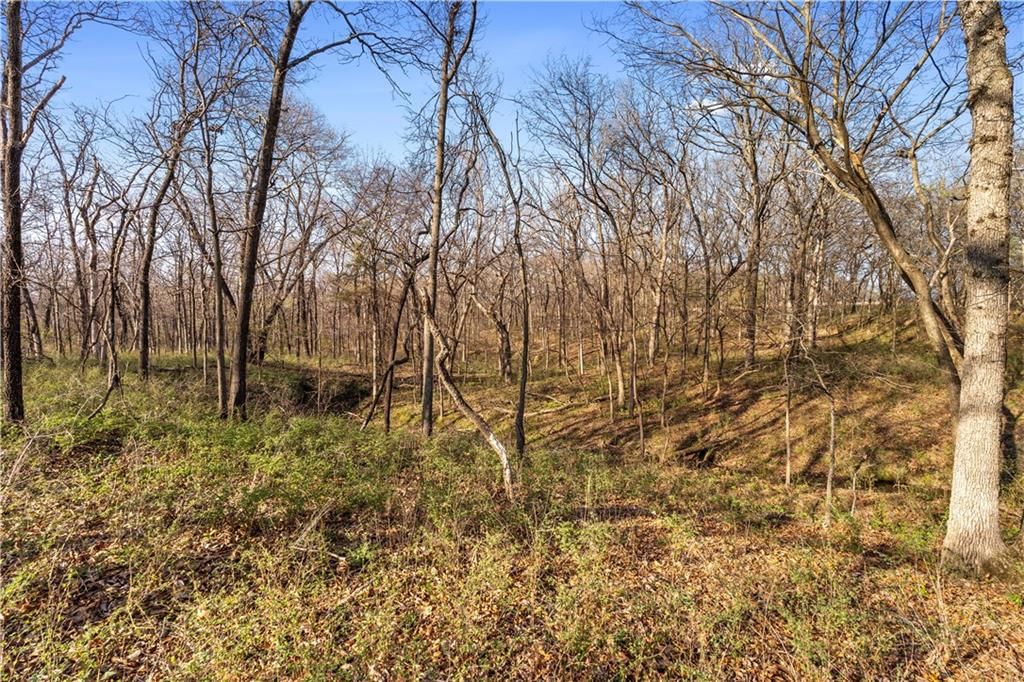 23529 E Overland Road — photo 77