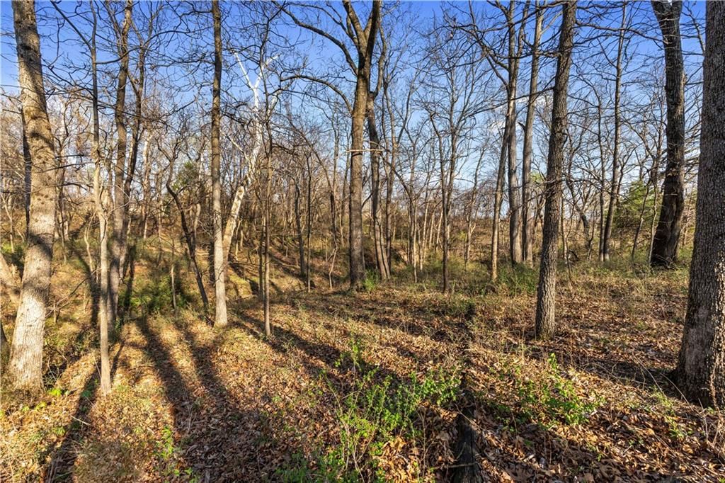 23529 E Overland Road — photo 78
