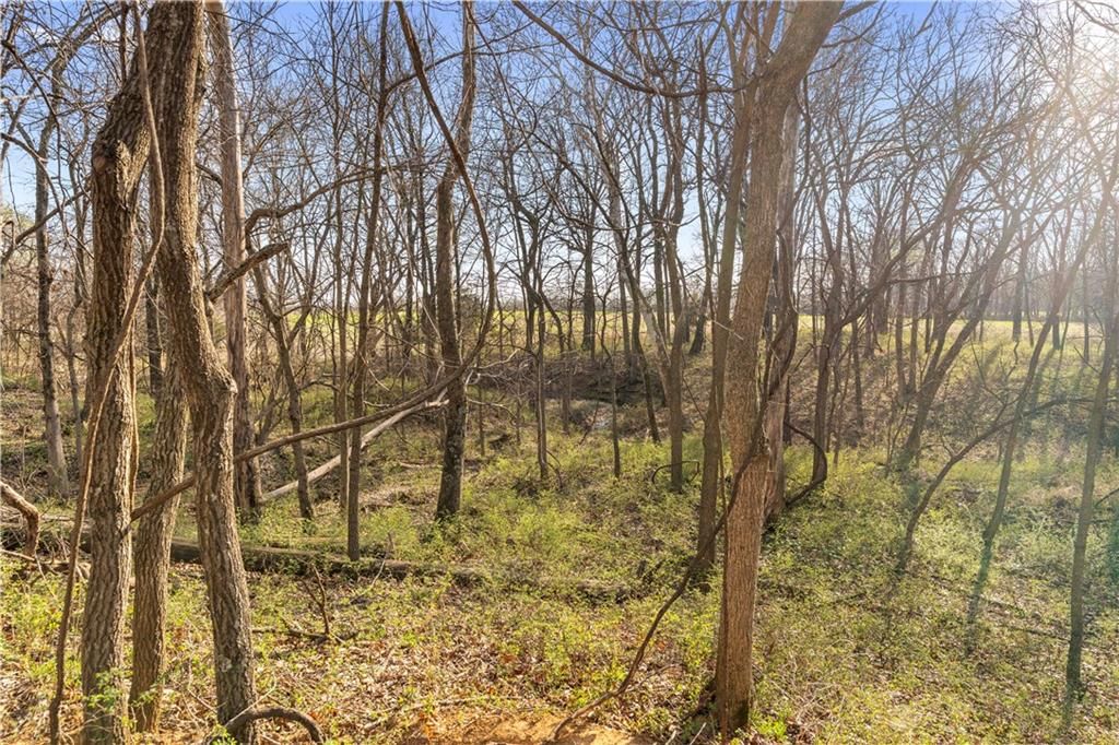 23529 E Overland Road — photo 79