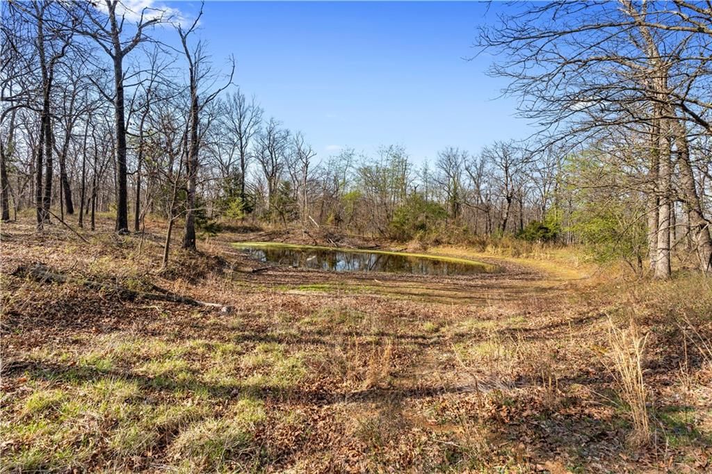 23529 E Overland Road — photo 80