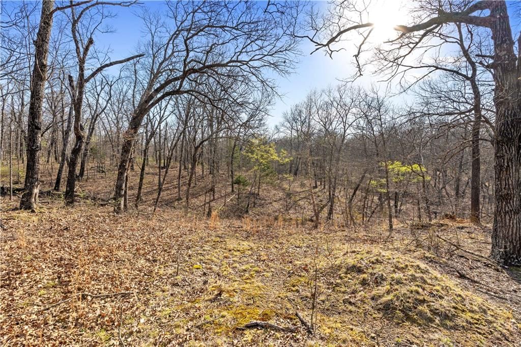 23529 E Overland Road — photo 82