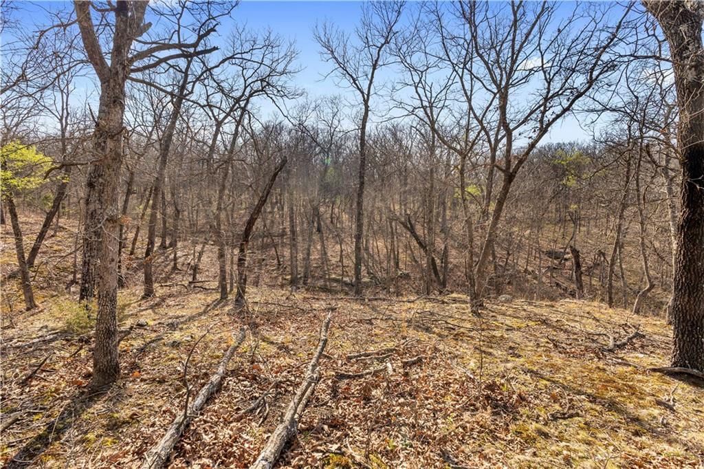 23529 E Overland Road — photo 83