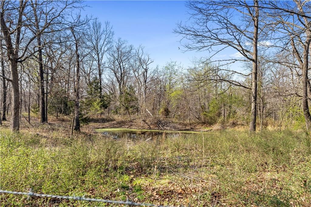 23529 E Overland Road — photo 88