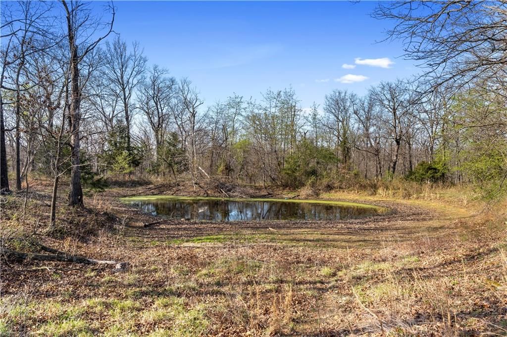 23529 E Overland Road — photo 89