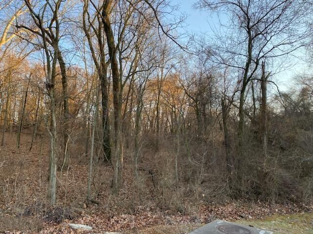 XX N Ozark Avenue — photo 2
