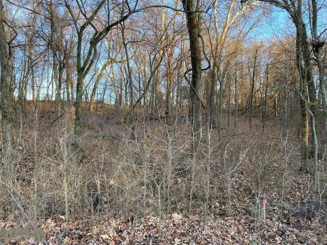 XX N Ozark Avenue — photo 3
