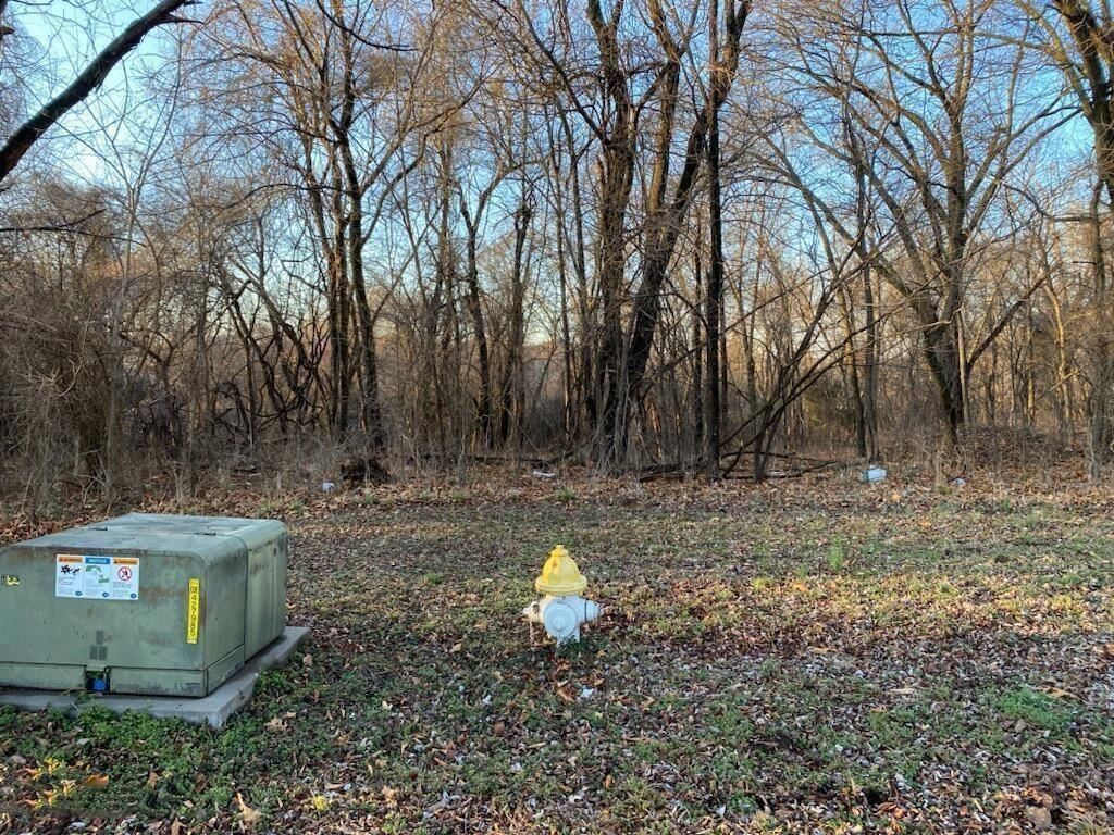 XX N Ozark Avenue — photo 4