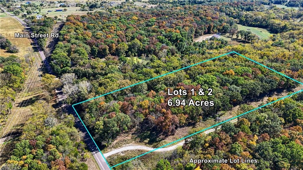LOT 1 & 2 Main Street Road — photo 4