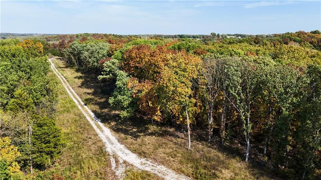 LOT 1 & 2 Main Street Road — photo 6