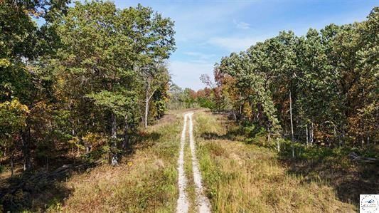 LOT 5 Main Street Road — photo 3
