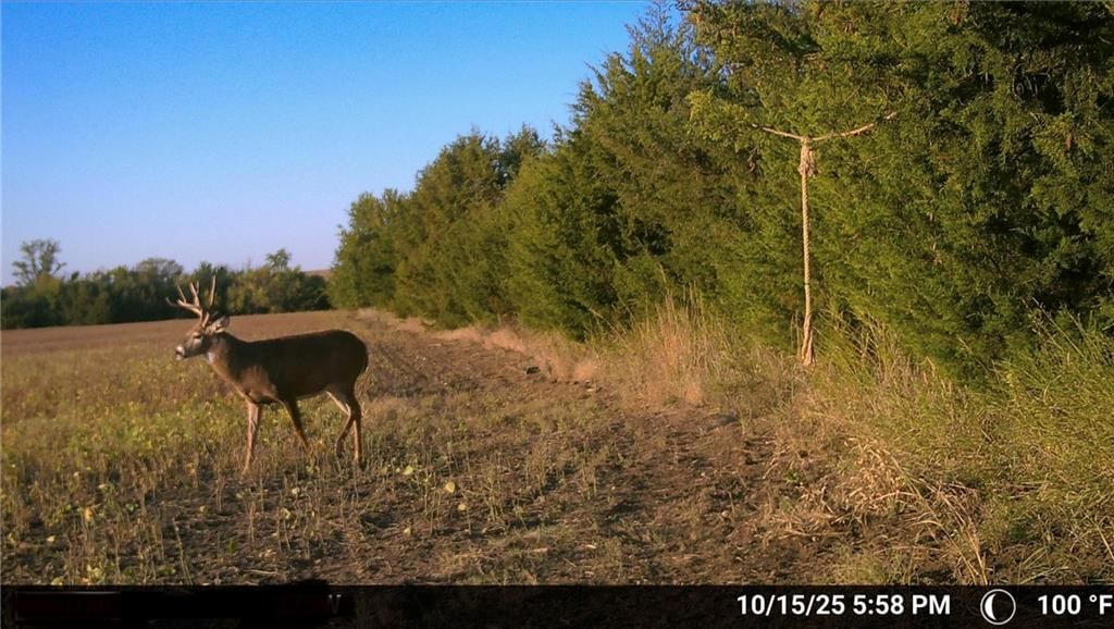 000 SE Virginia Road — photo 9
