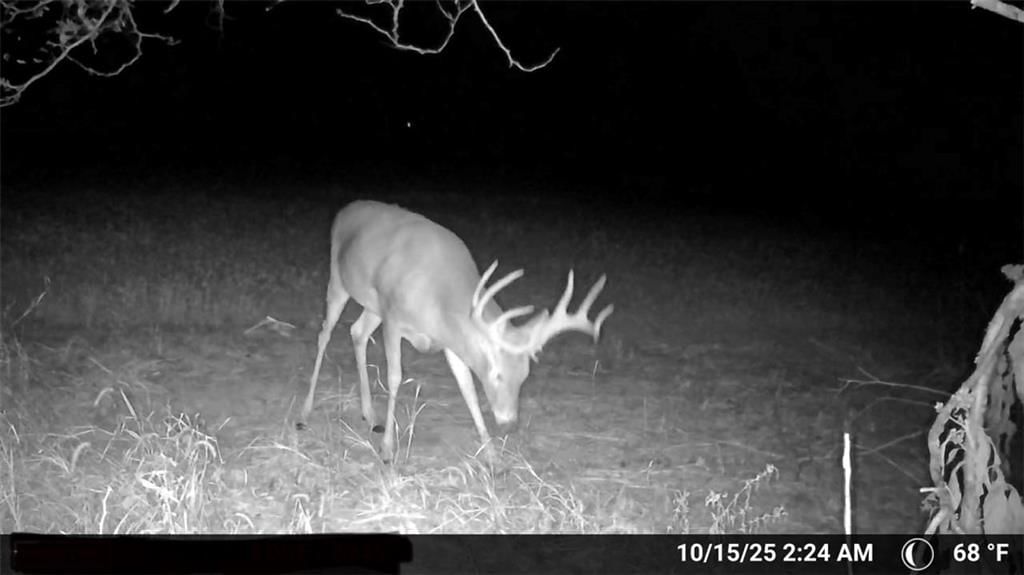 000 SE Virginia Road — photo 10