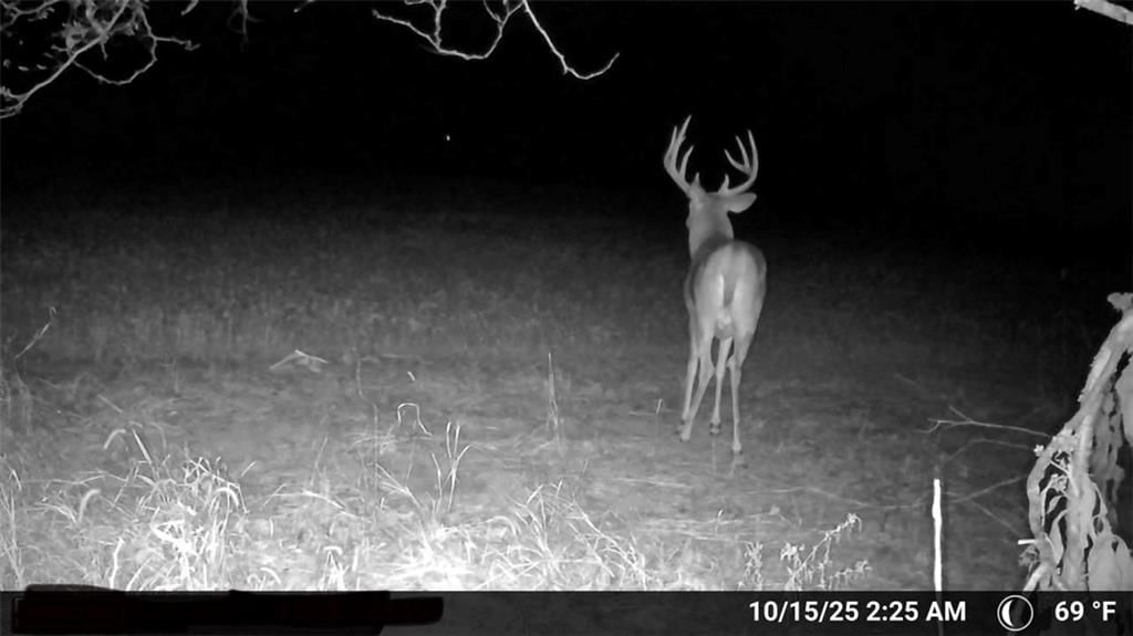 000 SE Virginia Road — photo 11